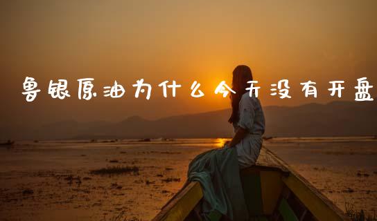 鲁银原油为什么今天没有开盘_https://www.gongyisiwang.com_广发期货手续费_第1张
