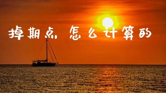 掉期点 怎么计算的_https://www.gongyisiwang.com_股指期货_第1张