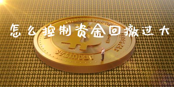 怎么控制资金回撤过大_https://www.gongyisiwang.com_期货公司手续费排名_第1张