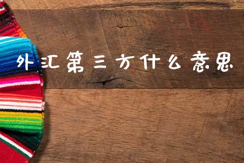 外汇第三方什么意思_https://www.gongyisiwang.com_焦炭期货手续费_第1张