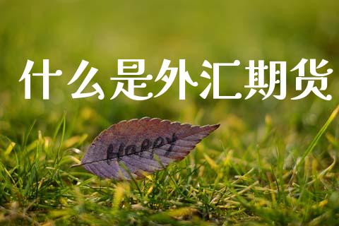 什么是外汇期货_https://www.gongyisiwang.com_股指期货交易手续费_第1张