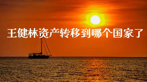 王健林资产转移到哪个国家了_https://www.gongyisiwang.com_广发期货手续费_第1张