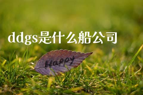 ddgs是什么船公司_https://www.gongyisiwang.com_广发期货手续费_第1张