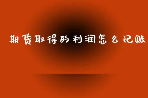 期货取得的利润怎么记账_https://www.gongyisiwang.com_股指期货交易手续费_第1张