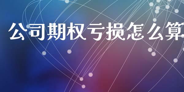 公司期权亏损怎么算_https://www.gongyisiwang.com_期货公司手续费排名_第1张