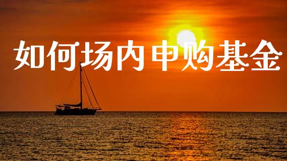 如何场内申购基金_https://www.gongyisiwang.com_道指_第1张