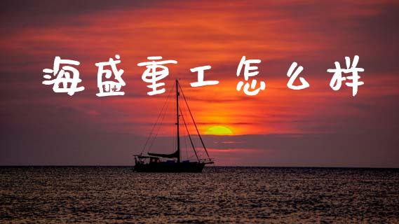海盛重工怎么样_https://www.gongyisiwang.com_广发期货手续费_第1张