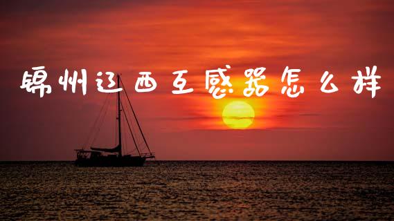 锦州辽西互感器怎么样_https://www.gongyisiwang.com_广发期货手续费_第1张