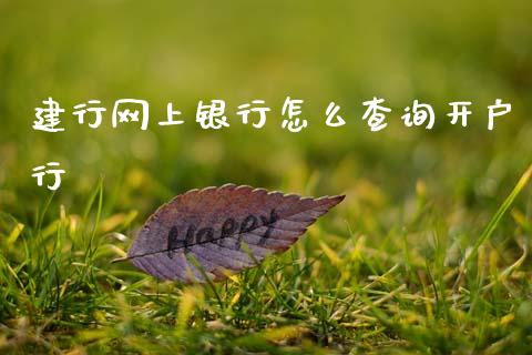 建行网上银行怎么查询开户行_https://www.gongyisiwang.com_股指期货交易手续费_第1张