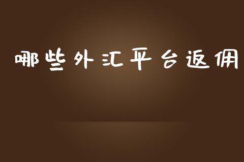 哪些外汇平台返佣_https://www.gongyisiwang.com_焦炭期货手续费_第1张