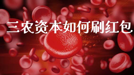 三农资本如何刷红包_https://www.gongyisiwang.com_股指期货交易手续费_第1张