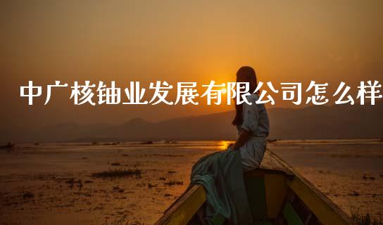 中广核铀业发展有限公司怎么样_https://www.gongyisiwang.com_期货公司手续费排名_第1张