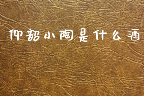 仰韶小陶是什么酒_https://www.gongyisiwang.com_焦炭期货手续费_第1张