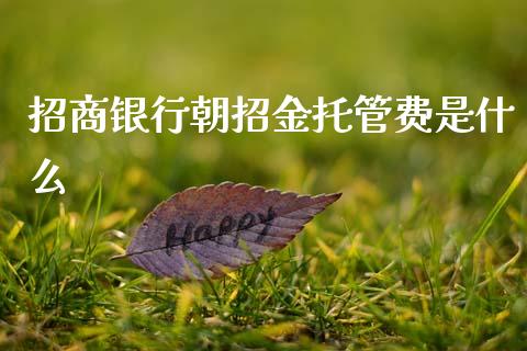 招商银行朝招金托管费是什么_https://www.gongyisiwang.com_股指期货交易手续费_第1张