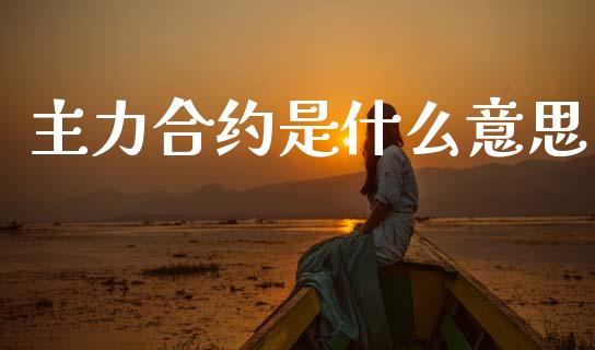 主力合约是什么意思_https://www.gongyisiwang.com_恒指期货_第1张