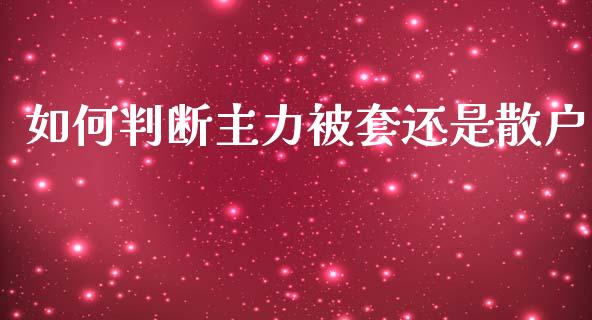 如何判断主力被套还是散户_https://www.gongyisiwang.com_期货公司手续费排名_第1张