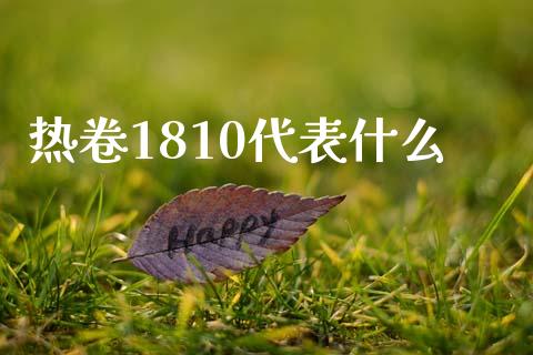 热卷1810代表什么_https://www.gongyisiwang.com_股指期货_第1张
