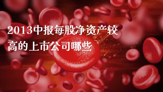 2013中报每股净资产较高的上市公司哪些_https://www.gongyisiwang.com_焦炭期货手续费_第1张