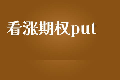 看涨期权put_https://www.gongyisiwang.com_焦炭期货手续费_第1张