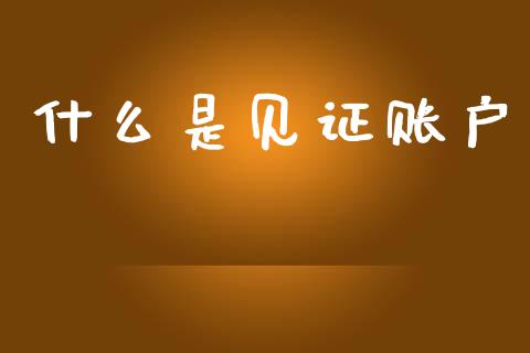 什么是见证账户_https://www.gongyisiwang.com_股指期货交易手续费_第1张