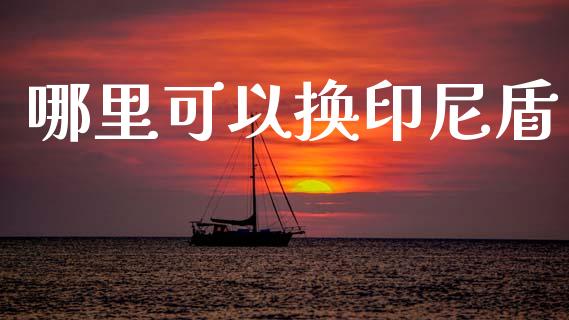 哪里可以换印尼盾_https://www.gongyisiwang.com_道指_第1张