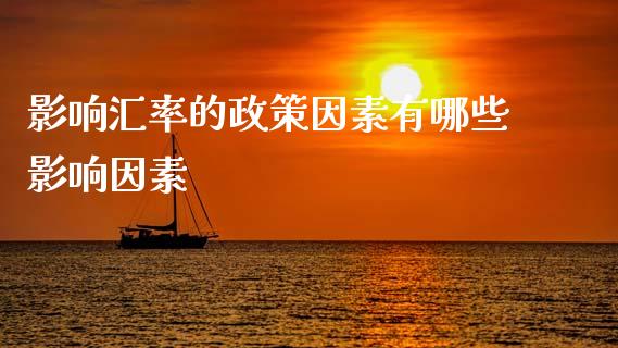 影响汇率的政策因素有哪些影响因素_https://www.gongyisiwang.com_焦炭期货手续费_第1张