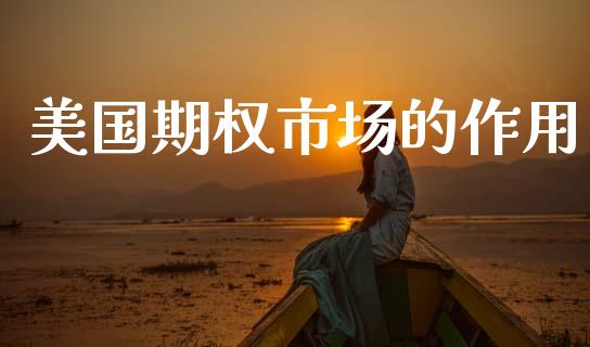 美国期权市场的作用_https://www.gongyisiwang.com_原油期货_第1张