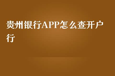 贵州银行APP怎么查开户行_https://www.gongyisiwang.com_股指期货交易手续费_第1张