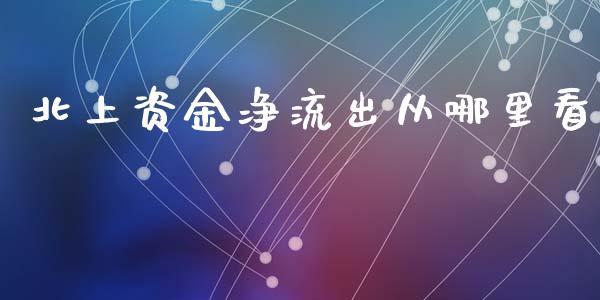 北上资金净流出从哪里看_https://www.gongyisiwang.com_道指_第1张