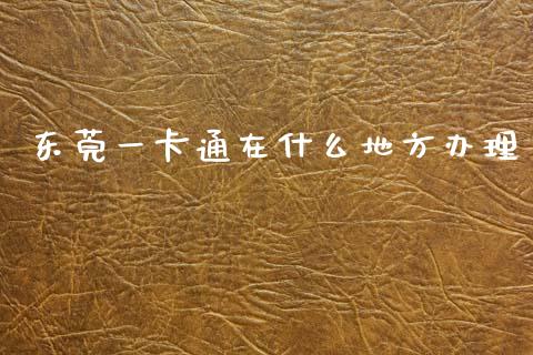 东莞一卡通在什么地方办理_https://www.gongyisiwang.com_原油期货_第1张