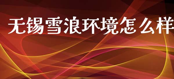 无锡雪浪环境怎么样_https://www.gongyisiwang.com_焦炭期货手续费_第1张