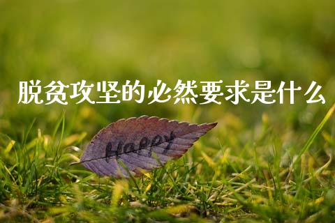 脱贫攻坚的必然要求是什么_https://www.gongyisiwang.com_恒指期货_第1张