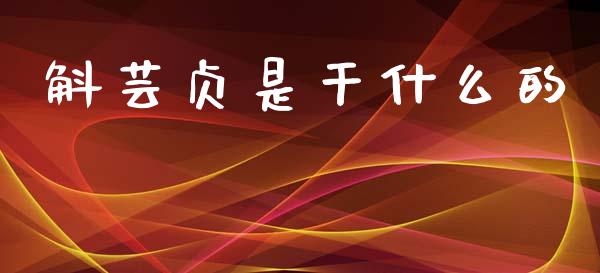 斛芸贞是干什么的_https://www.gongyisiwang.com_股指期货_第1张