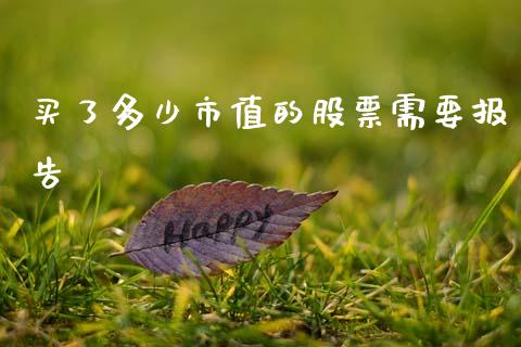 买了多少市值的股票需要报告_https://www.gongyisiwang.com_股指期货交易手续费_第1张