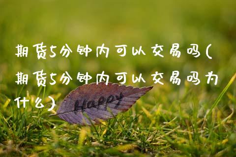 期货5分钟内可以交易吗(期货5分钟内可以交易吗为什么)_https://www.gongyisiwang.com_焦炭期货手续费_第1张