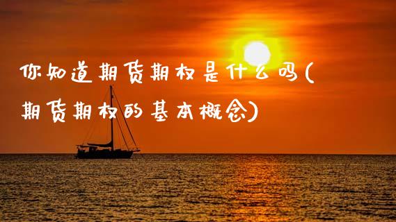 你知道期货期权是什么吗(期货期权的基本概念)_https://www.gongyisiwang.com_期货公司手续费排名_第1张