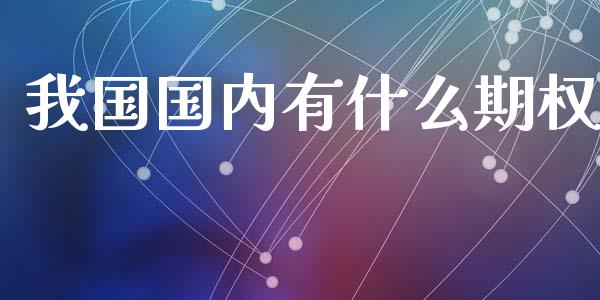 我国国内有什么期权_https://www.gongyisiwang.com_原油期货_第1张