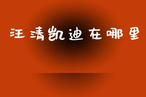 汪清凯迪在哪里_https://www.gongyisiwang.com_股指期货交易手续费_第1张