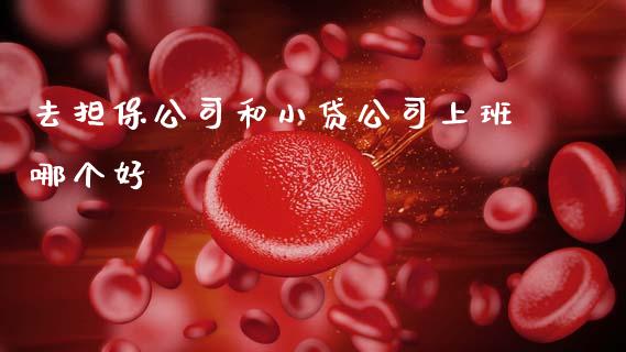 去担保公司和小贷公司上班哪个好_https://www.gongyisiwang.com_道指_第1张