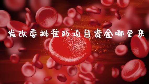 发改委批准的项目资金哪里来_https://www.gongyisiwang.com_广发期货手续费_第1张