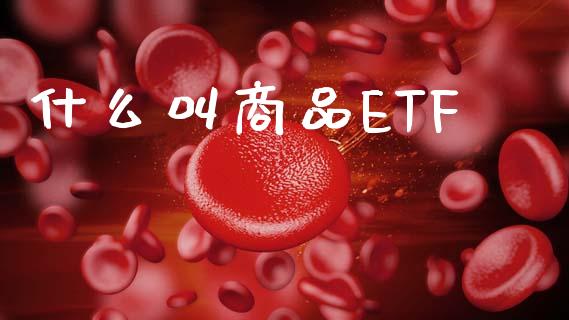 什么叫商品ETF_https://www.gongyisiwang.com_股指期货_第1张