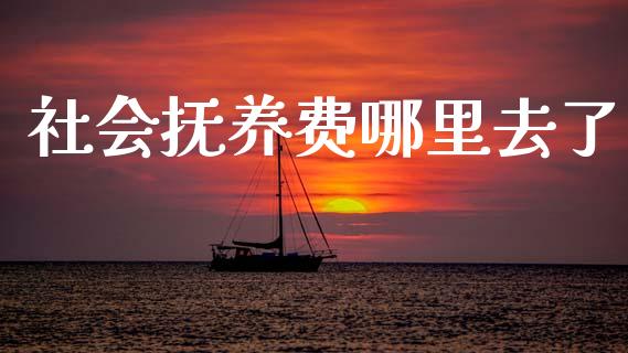 社会抚养费哪里去了_https://www.gongyisiwang.com_道指_第1张