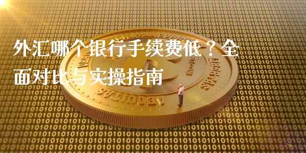 外汇哪个银行手续费低？全面对比与实操指南_https://www.gongyisiwang.com_广发期货手续费_第1张