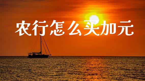 农行怎么买加元_https://www.gongyisiwang.com_道指_第1张
