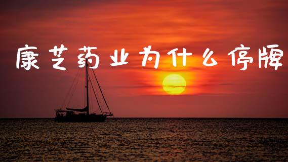 康芝药业为什么停牌_https://www.gongyisiwang.com_广发期货手续费_第1张