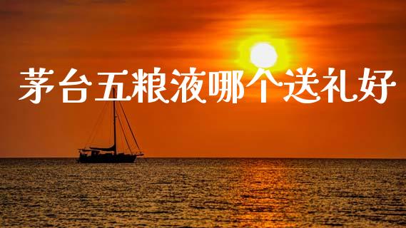 茅台五粮液哪个送礼好_https://www.gongyisiwang.com_期货公司手续费排名_第1张