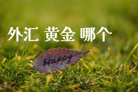 外汇 黄金 哪个_https://www.gongyisiwang.com_期货公司手续费排名_第1张