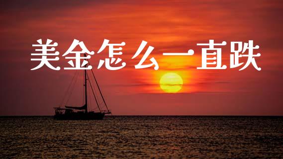 美金怎么一直跌_https://www.gongyisiwang.com_期货公司手续费排名_第1张