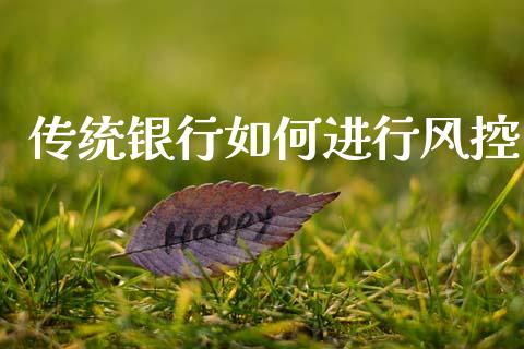 传统银行如何进行风控_https://www.gongyisiwang.com_原油期货_第1张