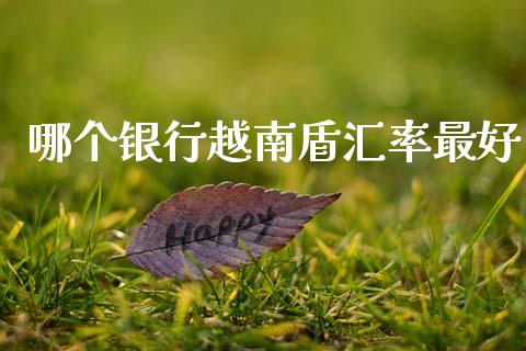 哪个银行越南盾汇率最好_https://www.gongyisiwang.com_广发期货手续费_第1张